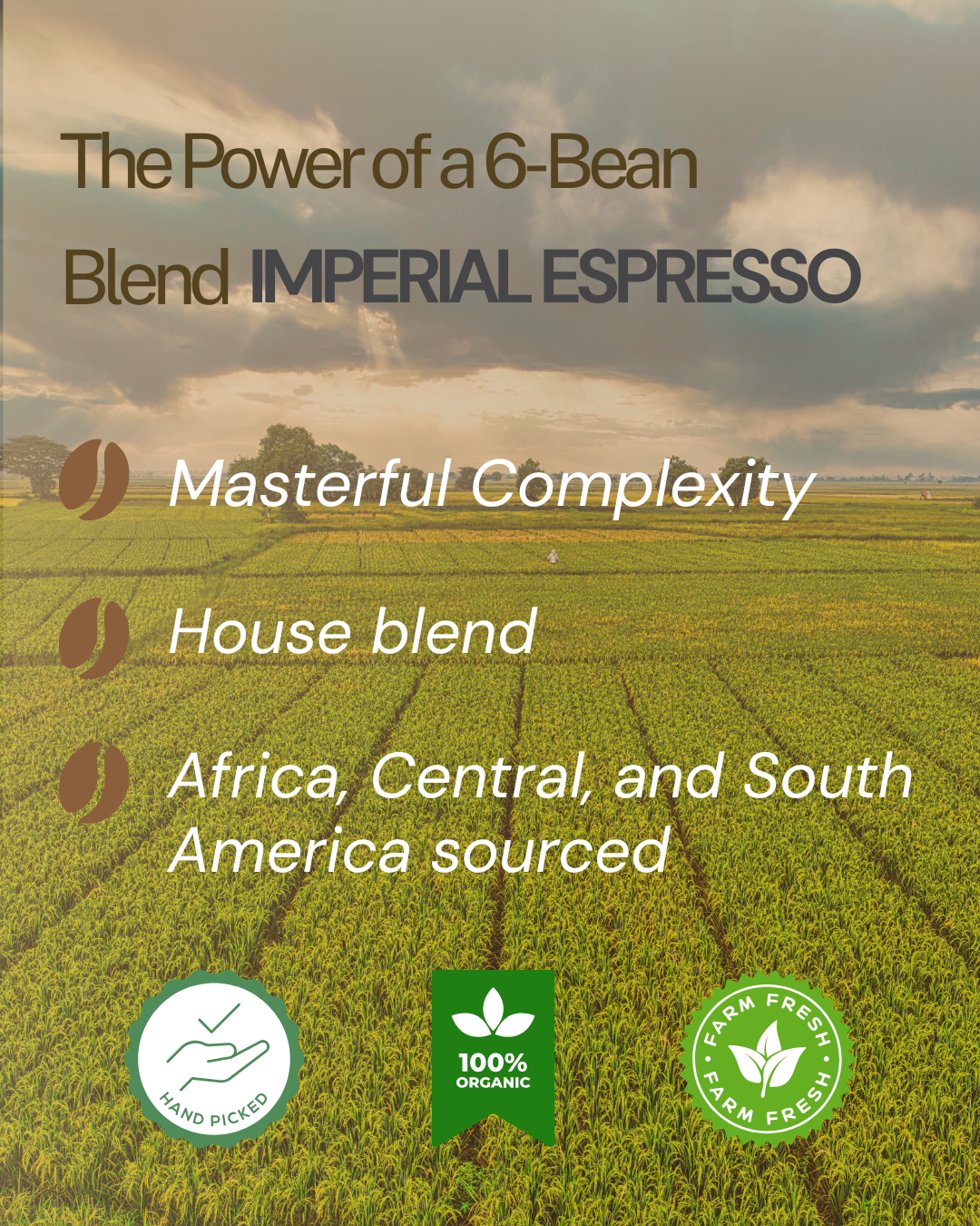 Breveuno® Imperial Espresso