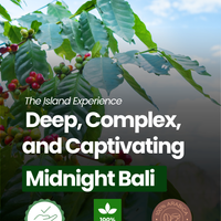 Breveuno® Midnight Bali-Single Origin